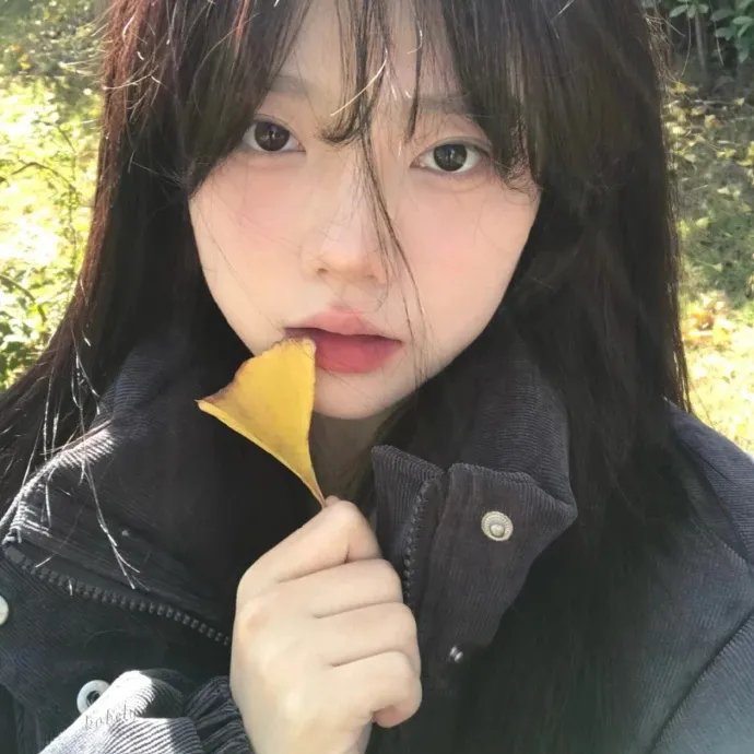 顽童怪盗